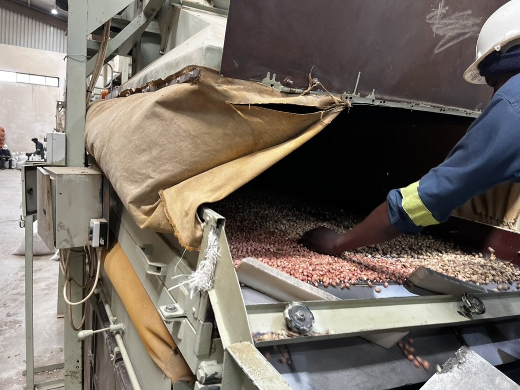 Groundnut shells being handled on a processing line at a Zambian agribusiness facility